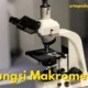 Fungsi Makrometer: Review Lengkap Cara Kerja Super Amazing